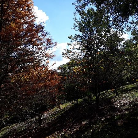 Morada Valbelle Διαμέρισμα Monte Verde  Εξωτερικό φωτογραφία