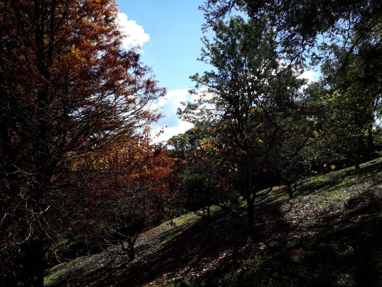 Morada Valbelle Διαμέρισμα Monte Verde  Εξωτερικό φωτογραφία